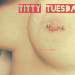 Happy Titty Tuesday Everyone! 
