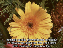 Truth! And I love sunflowers