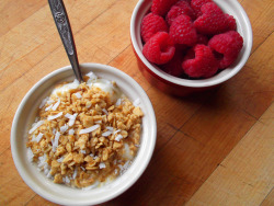 garden-of-vegan:  Original dessert tofu topped with granola and flaked coconut, and a cup of raspberries. 