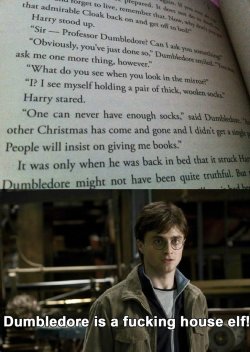 daily-harry-potter:  It’s the only theory
