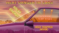 Accuweather:  Hot Cars Can Kill: 20 Children Already Dead In 2013 Continuing Heat