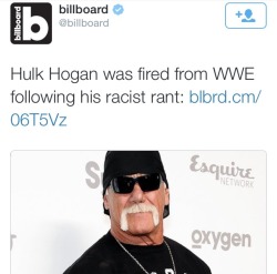 youwish-youcould:  krxs10:  WWE Cuts Ties With Hulk Hogan After Racist Rant Caught On TapeHall of Fame wrestler Hulk Hogan is out at World Wrestling Entertainment (WWE) after an audio recording featuring the wrestler using racist language was heard by