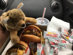 One of the best parts about visiting California as they have in and out and I&rsquo;ve had it for like four times now Waufy is pleased too.