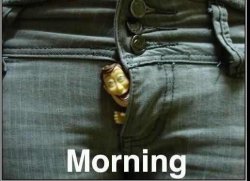 big-king-dingaling:  Morning Woody!