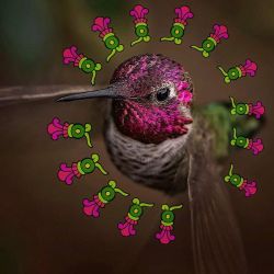 quetzalboutique:  Happy Tuesday, Guerrerxs! #TIAHUI!   #hummingbird #huitzilli #huitzillin #tzintzun #zunzuncito #colibri #chuparrosa #xochitl #animalspirit #spiritguide (at Quetzal Boutique) 