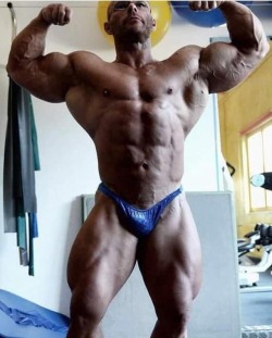 bigbodybuilderboys:  jackedupjock:Not quite the usual dickless bulls but nonetheless SIR still stuffed him into a tiny poser.