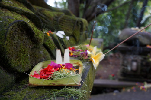 Traditional Balinese Offering in Bali, Indonesia adult photos