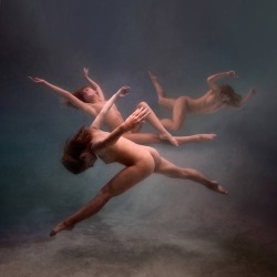 greyxeyes:   Underwater Photography by Ed Freeman  