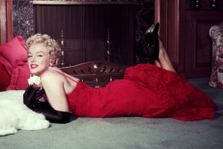 20th-century-man:  Marilyn Monroe  Yummy