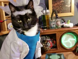 cat-cosplay:  “All right, Morty, let’s put a pin in this, I gotta help your pathetic family.” Cat Cosplay, Rick and Morty: Rick Sanchez 