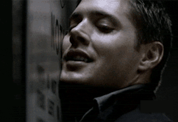 tumblinwithhotties:  bannock-hou:  Jensen Ackles visits another gloryhole    my bannock-hou account was deleted is now bannock-houmanreview