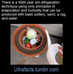 swedishrefugee:  ultrafacts:   A pot-in-pot refrigerator, clay pot cooler is an evaporative cooling refrigeration device which does not use electricity. It uses a porous outer earthenware pot, lined with wet sand, contains an inner pot (which can be