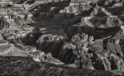 Grand Canyonin infrared, March 2014-jerrysEYES