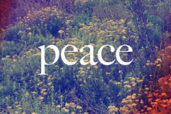 Peace en We Heart It. http://weheartit.com/entry/68853401/via/Megustariavolar