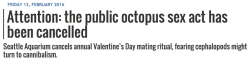 iamthelowercase: ebonykain:   alienpapacy: love is fucking dead. valentines day used to mean something   So for people who don’t know, Seattle Aquarium has a breeding program to try and help save the endangered Pacific Giant Octopus. They take wild