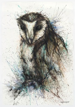 Huatunan-Art:  《Night Owl》 The Owl Interesting Creatures: Stubborn, Arrogant,