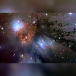 NGC 2170: Still Life with Reflecting Dust #nasa #apod #ngc2170 #nebula #dust #gas #stars #molecularcloud #monr2 #constellation #unicorn #monoceros #interstellar #milkyway #galaxy #intergalactic #universe #space #science #astronomy