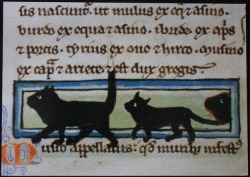 A Procession of Cats. Bodleian Library, Oxford, mid-13th century manuscript.