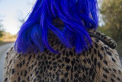 bodypartss:  this years hair colors. it’s