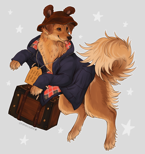 pigeon-latte:    Henry is a very good bear 🐻 💼 