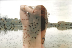 dianamsphotography:  Photographer - Birds by Diana M. SchenkelPhotographer - Me by Hollie HainesModel - Diana M. Schenkel expired 90’s 35mm film double exposures PLEASE LEAVE ALL NOTES INTACT SHOULD YOU CHOOSE TO REBLOG! PLEASE AND THANKS :)