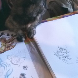 Cat does not care about the panther drawing.