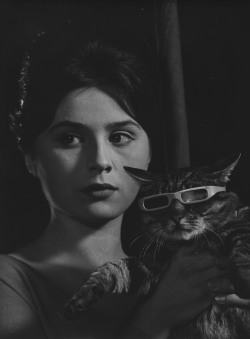 keyframedaily:  &ldquo;In The Cassandra Cat (Az Prijde Kocour, 1963), Vojtéch Jasny filters the alchemy of different film stocks through a 3D-glasses-wearing cat, not to represent reality but to unmask its travesty.&rdquo; Celluloid Liberation Front,