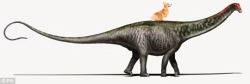 thebeautyofrope:  venacava89: thebeautyofrope:   little-and-brave:  thebeautyofrope:  originally there was context to this,   but i’ve decided my photoshop rendering of a corgi riding a brontosaurus is worthy of being posted by itself without any further
