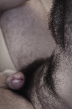 hairy-chests:  http://hairy-chests.tumblr.com      Submit MoDeL G      Cock - Gif 