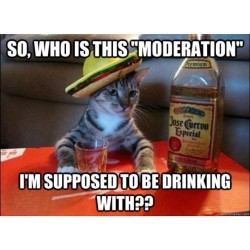 Cinco de mayo is almost over. Drink WITH Moderation.   #cute #cuteanimals #cutepet #petaofinstagram #igers #instagood #aww #dogsofinstagram #catsofinstagram  Follow for more awesome posts!  Bonafidepanda.com