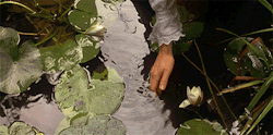 roseydoux: The Secret Garden (1993) 