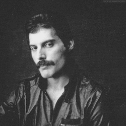 fuckyeahmercury:Freddie Mercury – 1981 Photos by Lord Snowdon