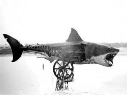 Le requin des Dents de la Mer (Jaws), 1975.