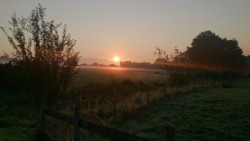 Sunrise in Burghclere
