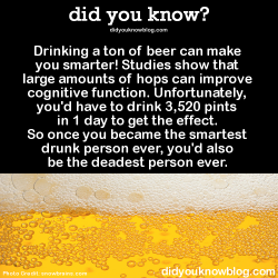 did-you-kno:  Drinking a ton of beer can