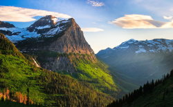 isawatree:  Sunset along Going to the Sun Road by Julie Lubick 