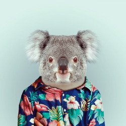 Myedol:  Zoo Portraits By Yago Partal This Wildly Entertaining Series Comes Courtesy