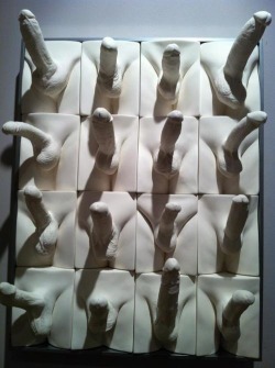  The wall at the Penis Hall of Fame!!!  good lord how can i decide which one to sit on first?