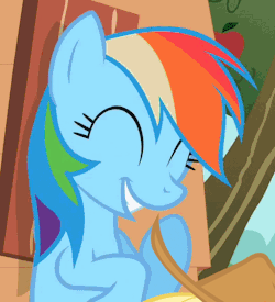 someponysscribbles:ambris-art:LOOK AT THIS CUTE HORSE  Look at this nerd!  Dashie is cutest fangirl~ &gt;w&lt;