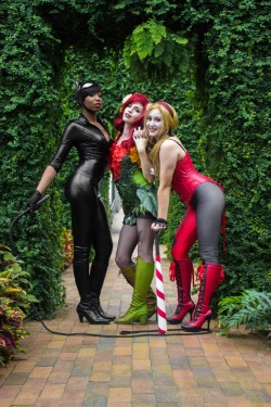 hjsteele:  The Gotham Sirens   Catwoman: ariel8619 Poison Ivy: hjsteele Harley Quinn: Quinn Cities Doll  Photography by athotfullpanda  Please do not remove credit when reblogging 💙 