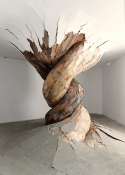 contemporary-art-blog: Henrique Oliveira, Desnaturaleza, 2011  this has always been one of my favorite installations