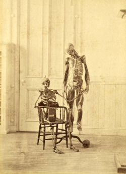 Anatomy, 1873.