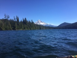 Picture of Oregon taken by in hearts wake