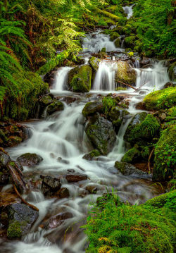 lori-rocks:  Swedish Creek Waterfall…by