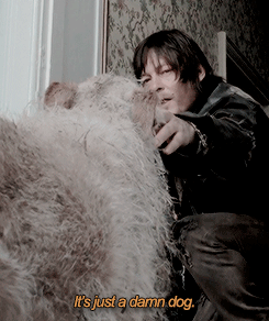 wewillbegood:  Your Beth Greene  a-serious-piggyback said: “But you said there was a dog!” Something about that scene gets me. Not only is it adorable (and who doesn’t love dogs), but shows that even though Beth is a badass, she hasn’t