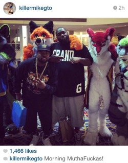 catbountry:  goldmidas:  Killer Mike and Big Boi posing with furries  Oh shit, is that a sergal with them?