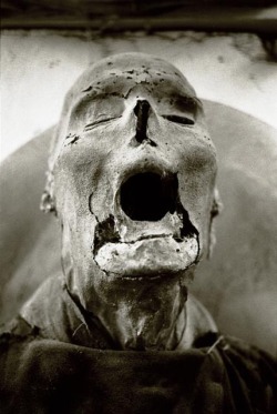 The Grisly Mummies of Sicily&rsquo;s Catacombs -Umberto Agnello 
