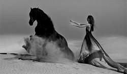 Secretedpearls:  Entergirl:  Wild Horse… | Via Tumblr On We Heart It.  Lust Is