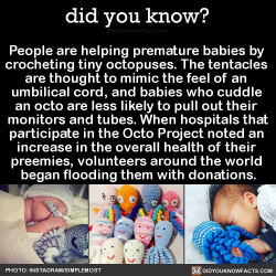 provider-of-guardians: did-you-kno:  People are helping premature babies by crocheting tiny octopuses. The tentacles are thought to mimic the feel of an umbilical cord, and babies who cuddle an octo are less likely to pull out their monitors and tubes.