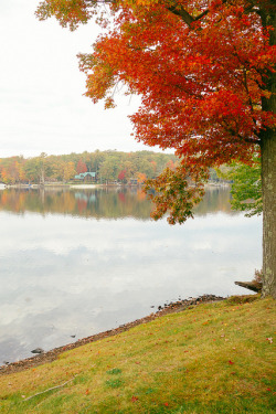 idealizable:  Autumn Lake - Pocono Mountains - Pennsylvania by Vivienne Gucwa on Flickr.